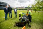 „Žalgirio“ pergalių ąžuoliukas „Žalgirio“ pergalių ąžuoliukas