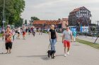 Tarptautinei benamių gyvūnų dienai – simbolinis žygis Tarptautinei benamių gyvūnų dienai – simbolinis žygis