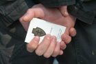 Lietuvos šaulių sąjungą papildė KTU studentai Lietuvos šaulių sąjungą papildė KTU studentai